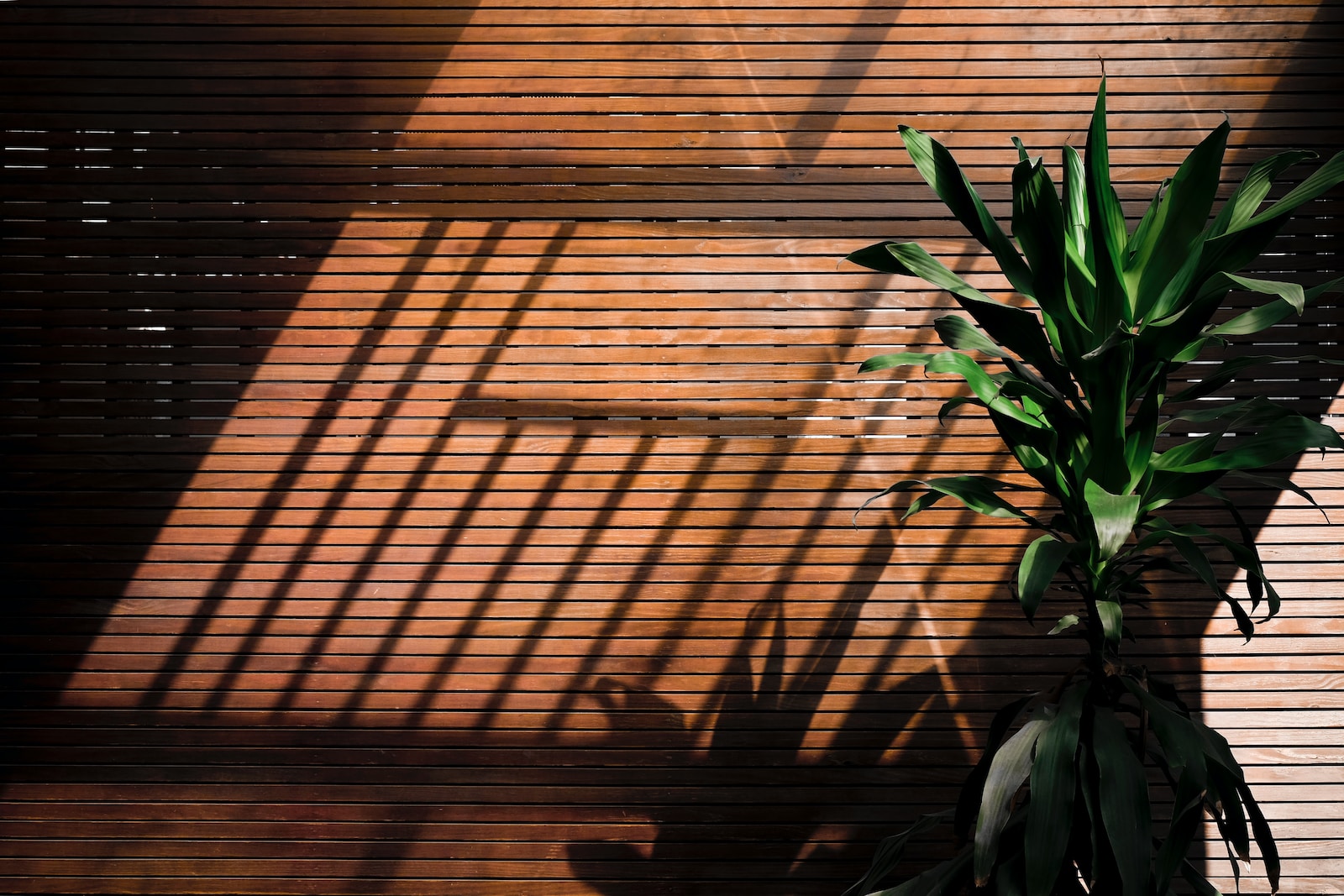 Décoration Éco-responsable : Idées pour un Intérieur Écologique