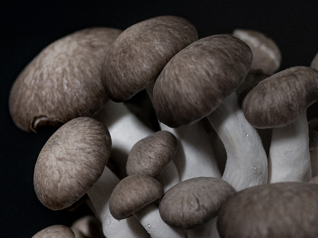 comment cuisiner les shiitake 3