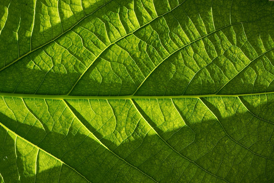 placement responsable et écologique 4