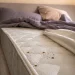 causes des punaises de lit dans le matelas